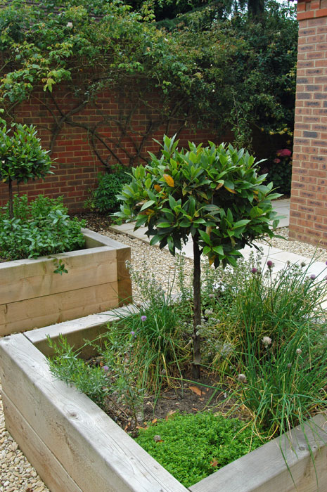 Timber raised beds for Herbs in the front garden